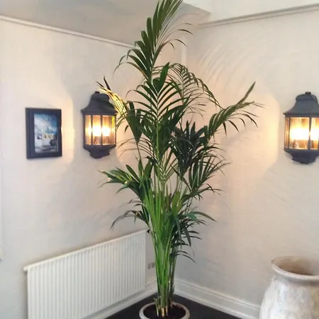 & 호텔